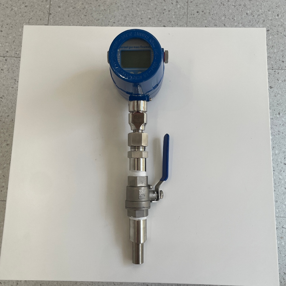 Inspection of Thermal Gas Mass Flow Meter 202509