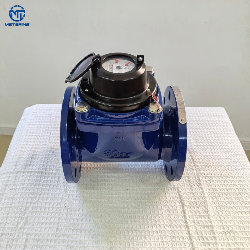 Inspection & Delivery of Water Meter 202603